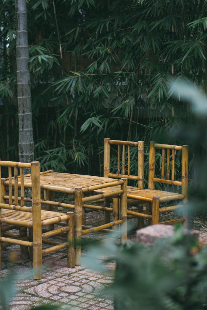 Cozy bamboo chairs and table amidst dense foliage, creating a serene outdoor setting.